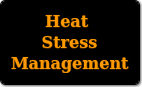 Button link to heat stress-related updates and announcements for all fitness services.